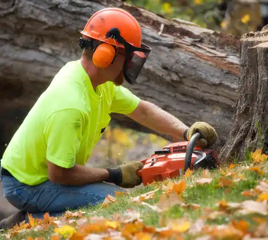 tree services New California